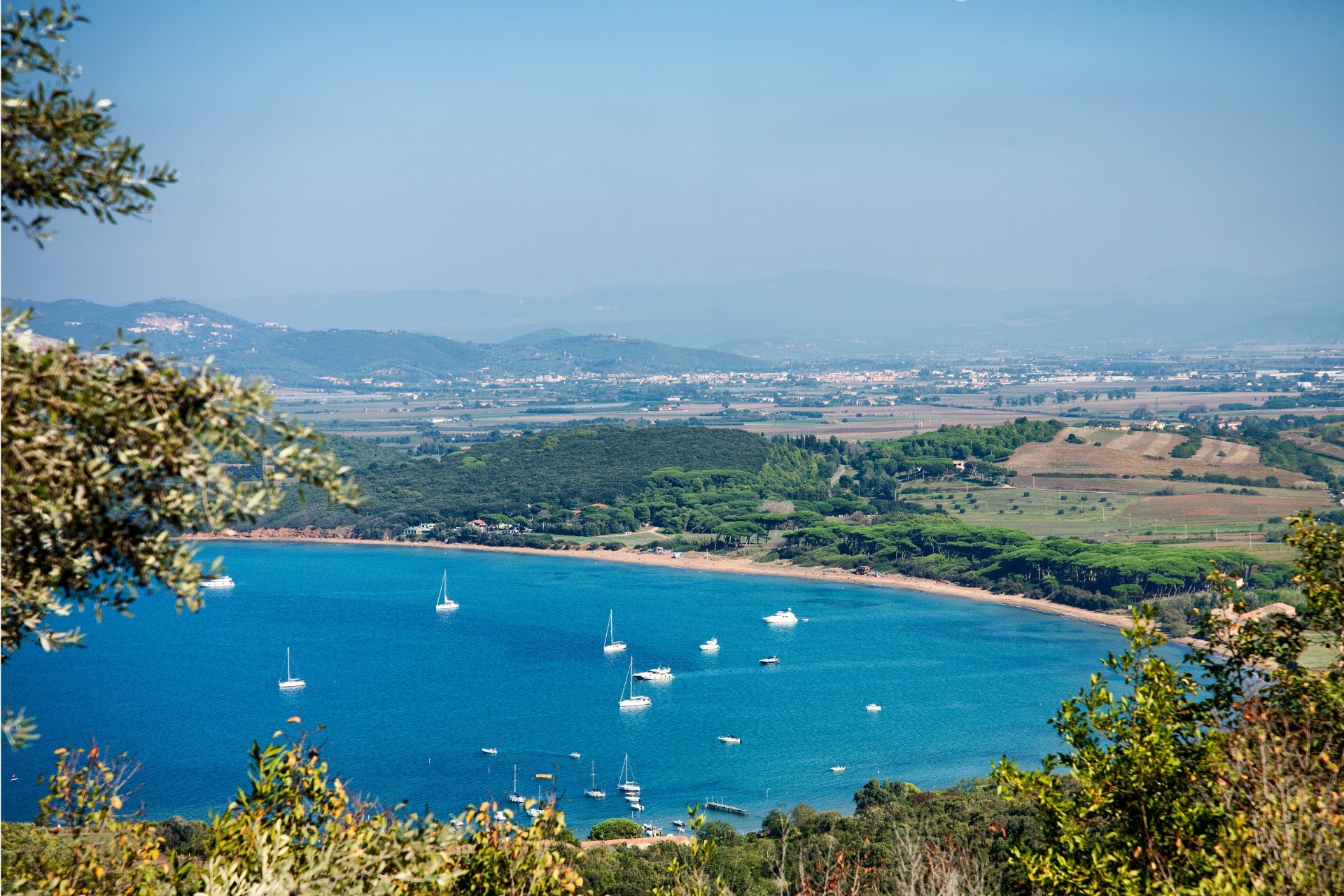 Golfo di Baratti visto tra la vegetazione