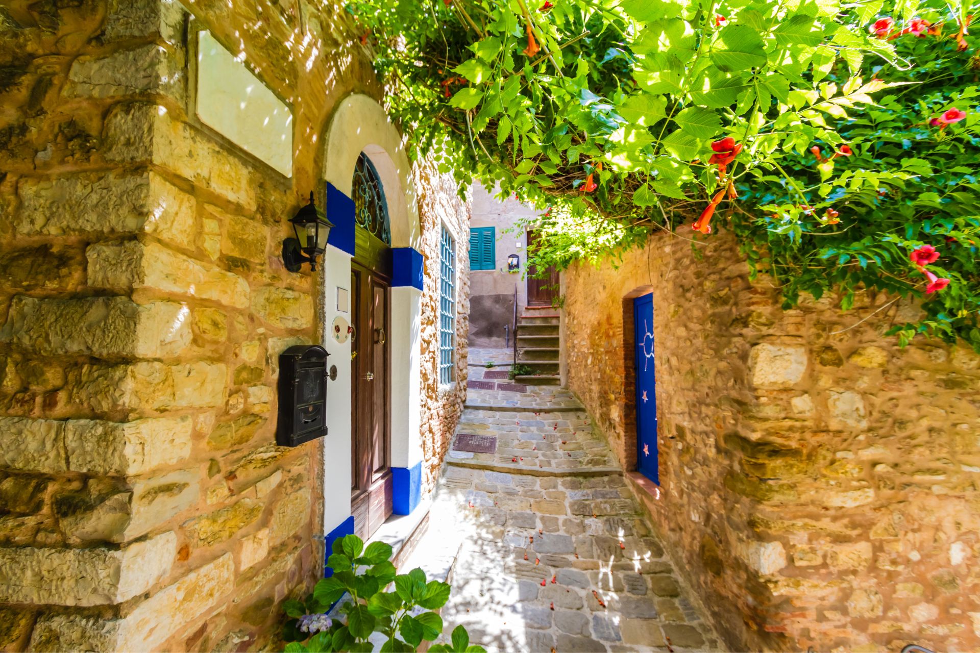 Vicolo fiorito nel centro storico di Campiglia Marittima