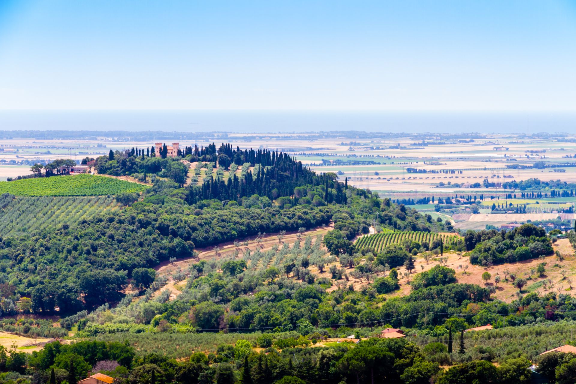 Colline e campagna della Val di Cornia viste dall'alto