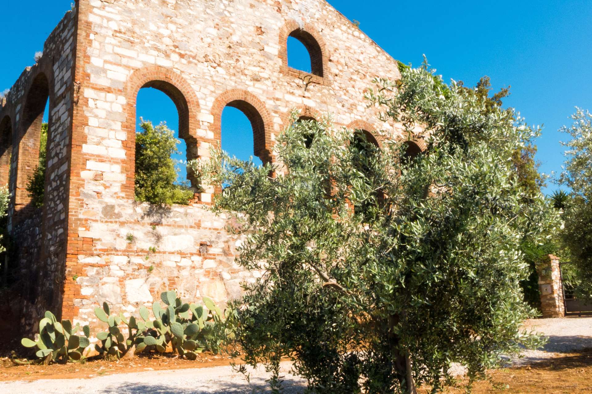 Rudere minerario tra gli ulivi nel Parco di San Silvestro