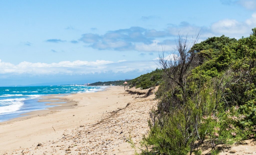 Spiaggia di Rimigliano con dune e macchia mediterranea