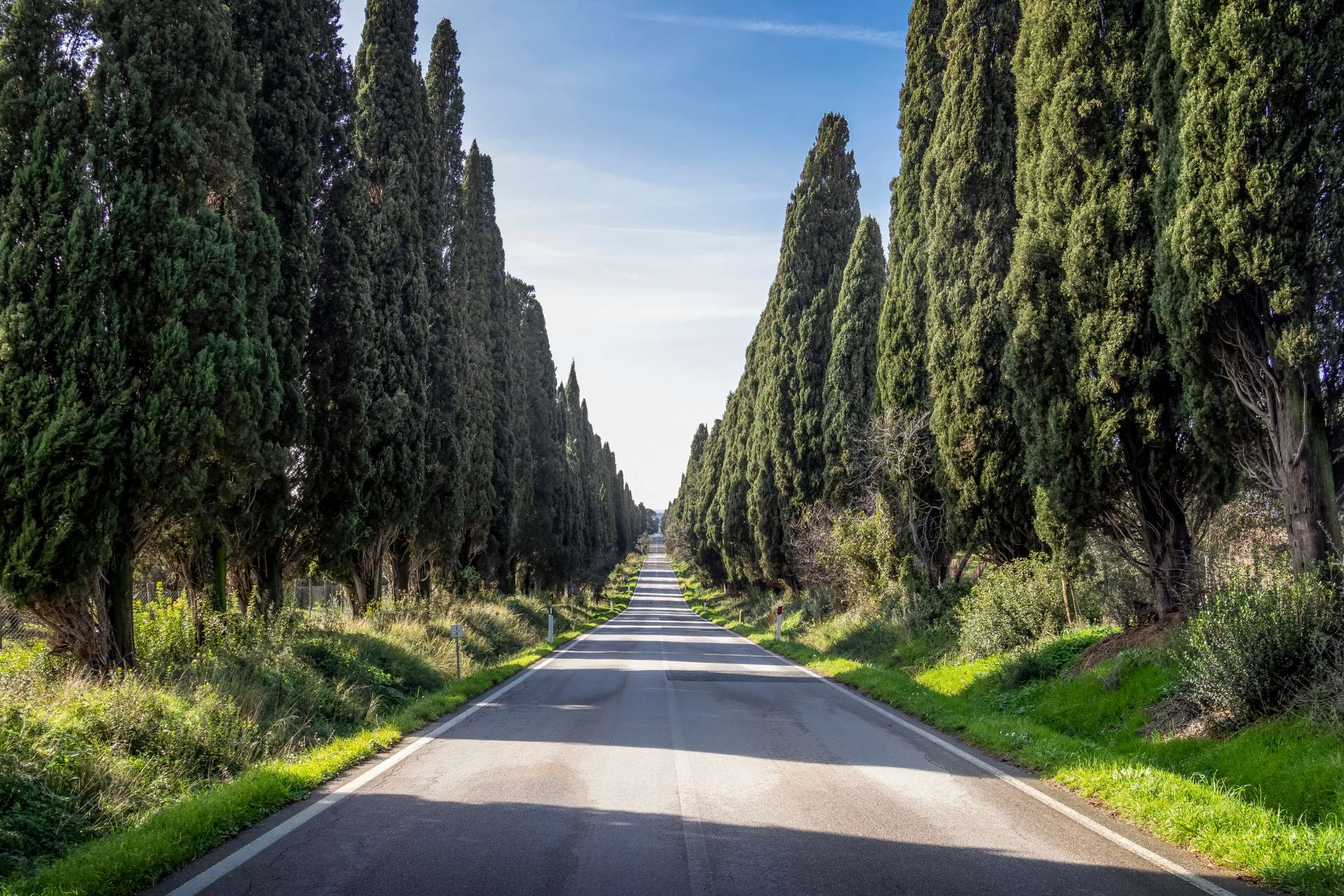 Viale dei Cipressi tra Castagneto Carducci e Bolgheri