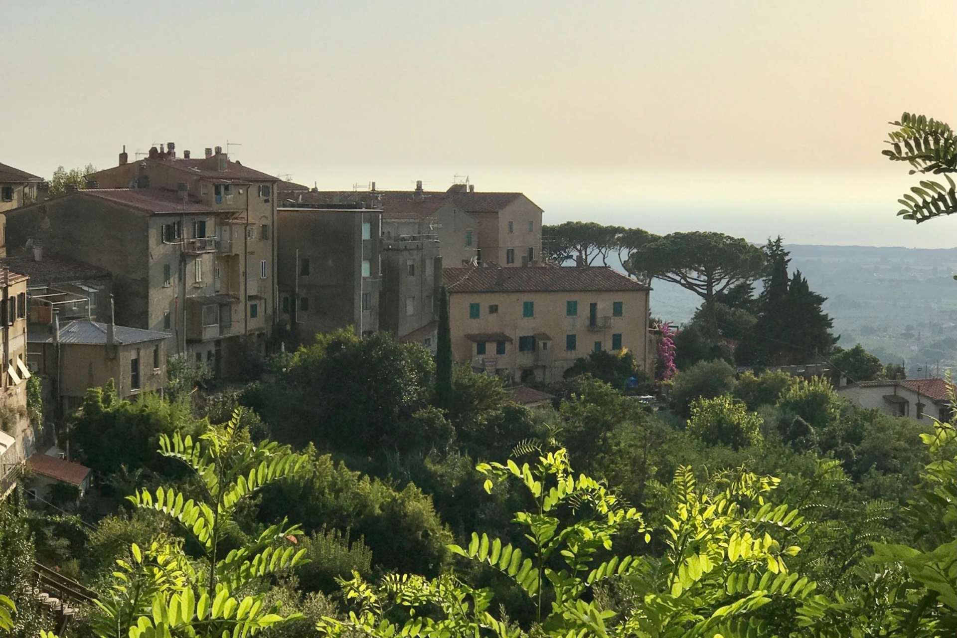 Borgo di Castagneto Carducci tra la vegetazione