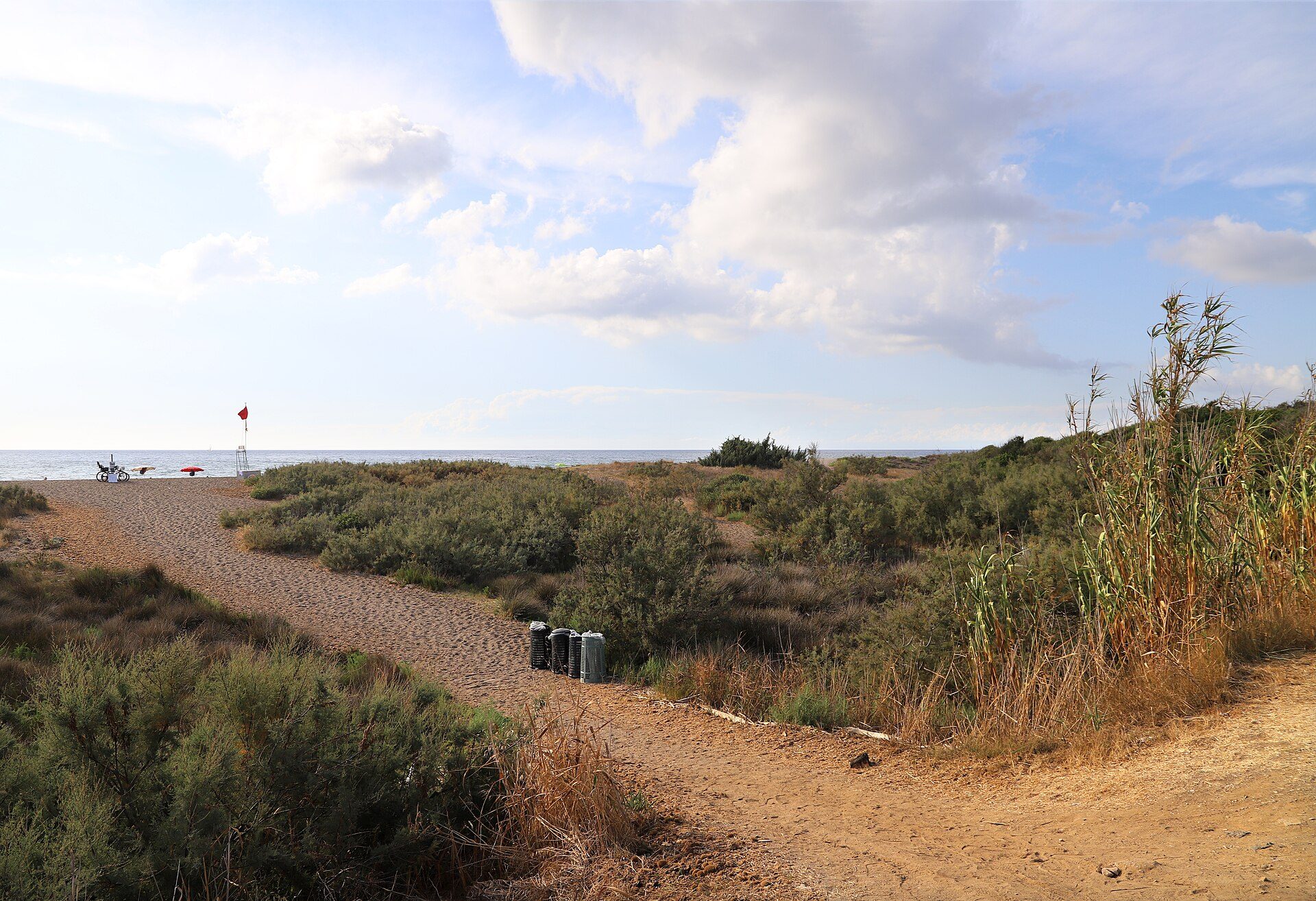 Sentiero tra le dune verso la Spiaggia di Rimigliano